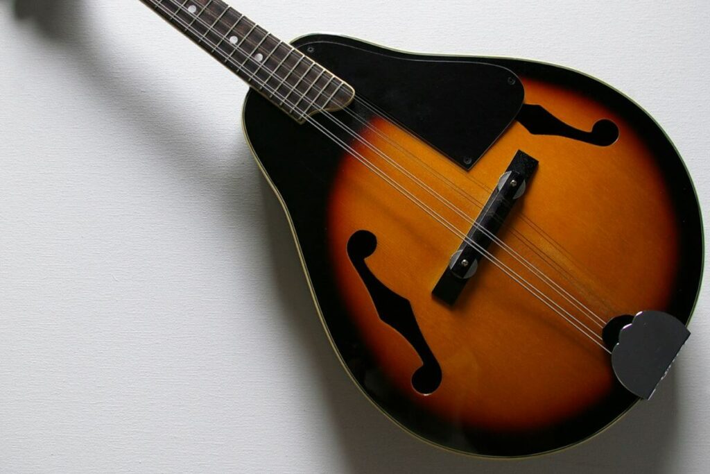 Handmade Mandolin by Luthier